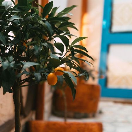 B&B Ziu Anacletu ヴィッラプッツ エクステリア 写真